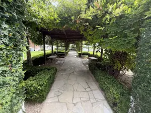 Signor Vinyards tunnel of grapevines.