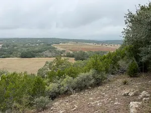 View from Driftwood Estate Winery.