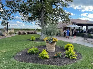 The grounds of Grape Creek Vineyards.