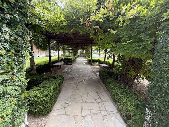 Signor Vineyards tunnel of grapevines.