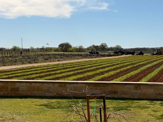 Field out behind Becker's main tasting room