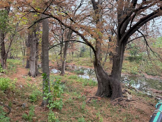 Cypress Creek in Wimberley Texas
