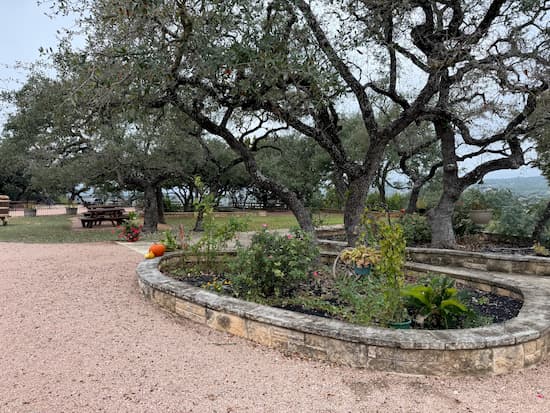Driftwood Estate Winery courtyard.