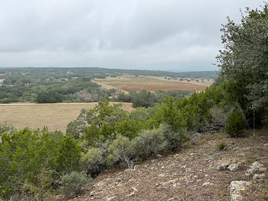 View from Driftwood Estate Winery.