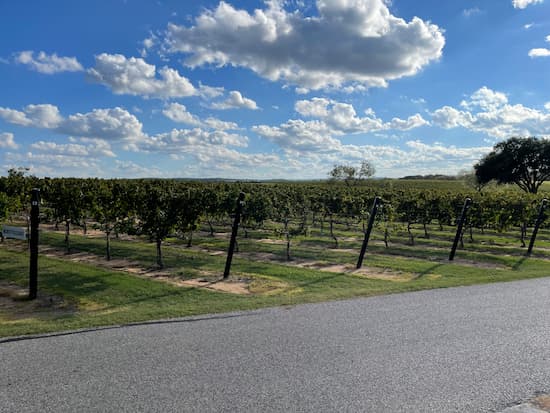Grape Creek Vineyards