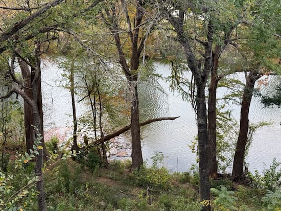 View of the Guadalupe River from Gruene River Grill
