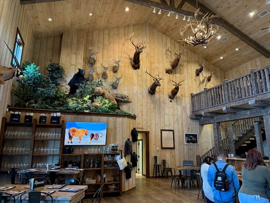 Safari's decor, bringing the outside indoors